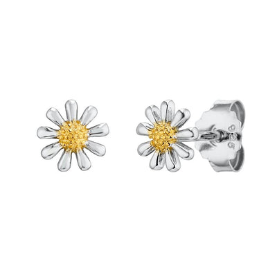 Silver Daisy Earrings 7mm - Paul Wright Jewellery
