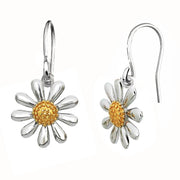 Silver Daisy Earrings on Hooks - Paul Wright Jewellery