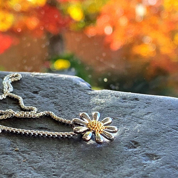 Silver Daisy Necklace 13mm - Paul Wright Jewellery